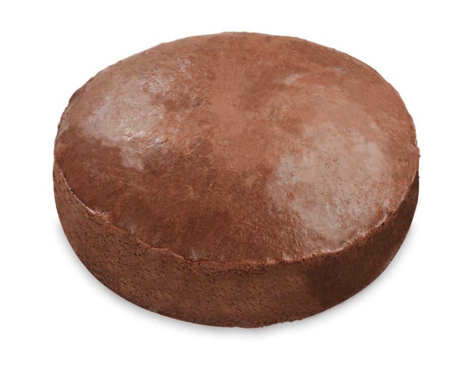 Rich's Signature Chocolate Sponge (400g)